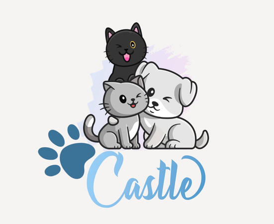 We're thrilled to announce our collaboration with প Castle, providing innovative brand development and marketing services since 2023. With Social Apex by their side, Ardent is poised to reach new heights and leave a lasting impact.